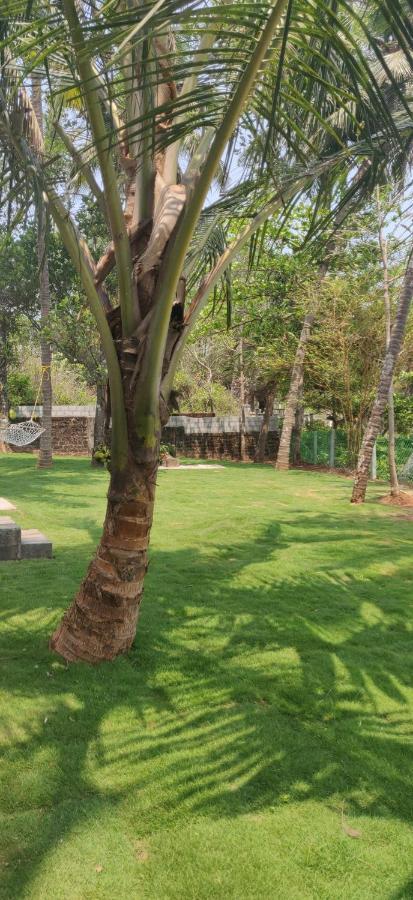Perch By The Sea Bed & Breakfast Kannur Dış mekan fotoğraf