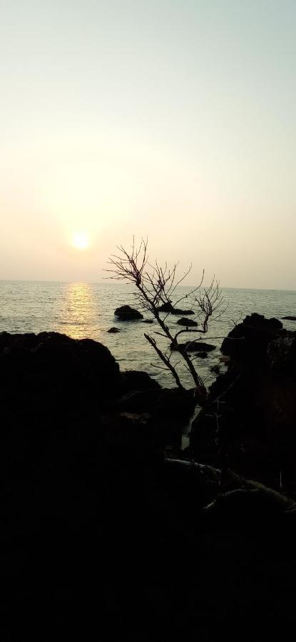 Perch By The Sea Bed & Breakfast Kannur Dış mekan fotoğraf